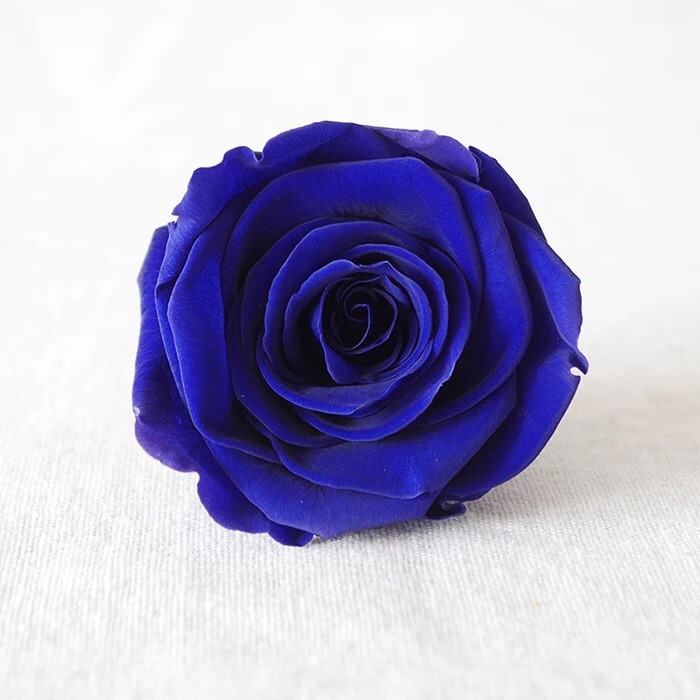 * 保鮮•愛系列 *發光玻璃罩玫瑰保鮮花（深藍色）*可免費刻上名或祝福字句