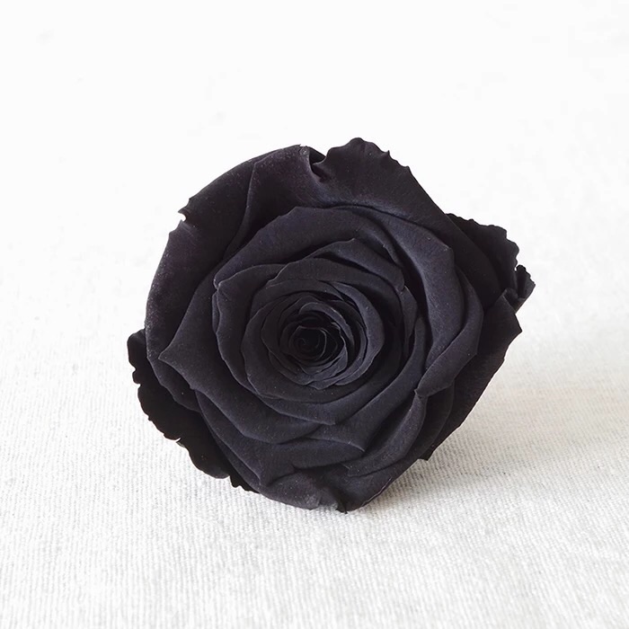 * 保鮮•愛系列 *發光玻璃罩玫瑰保鮮花（深藍色）*可免費刻上名或祝福字句